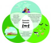 gallery/one-health-approach-to-address-zoonotic-diseases_w640